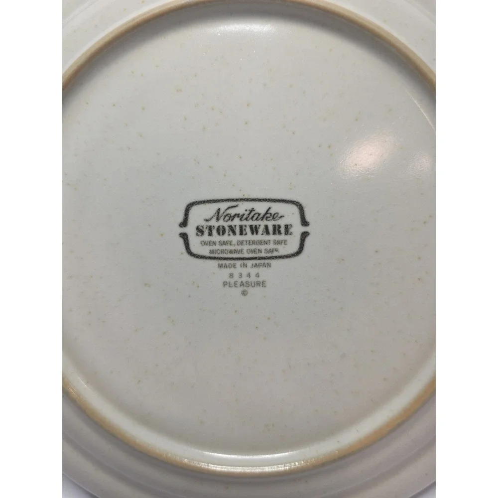 Noritake Stoneware Pleasure‎ Salad Plate 8 1/4